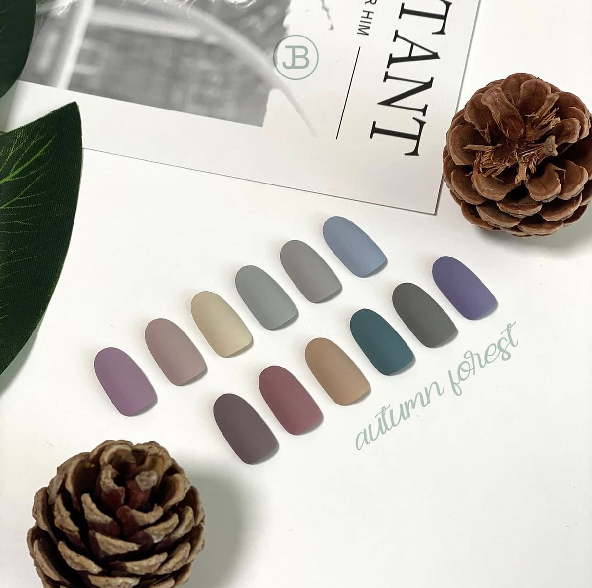 Jin.B - Autumn Forrest collection